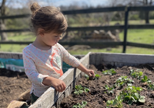 Math Connections Through Story and Games - The Compass Center Foundation