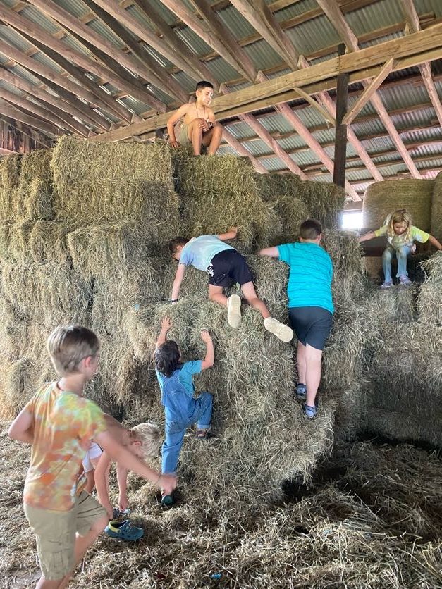 Outdoor Farm School Crozet Charlottesville Waldorf Homeschool
