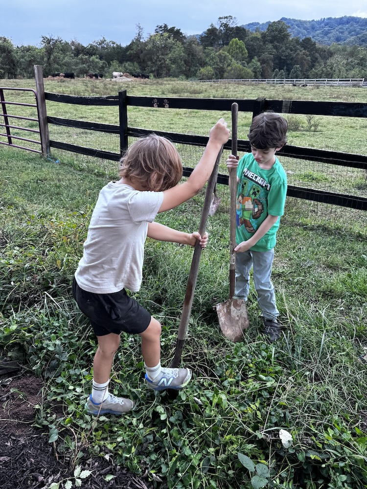 Outdoor Farm School Crozet Charlottesville Waldorf Homeschool