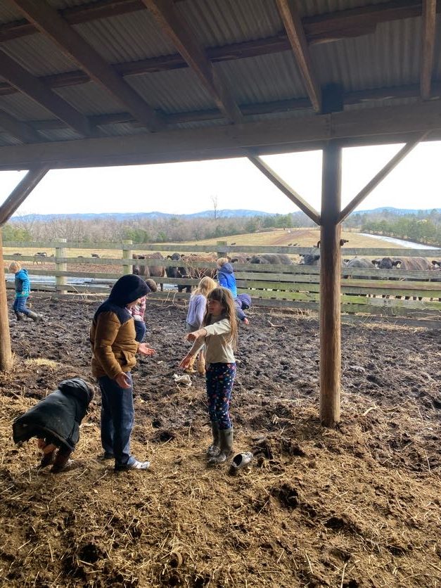 Outdoor Farm School Crozet Charlottesville Waldorf Homeschool