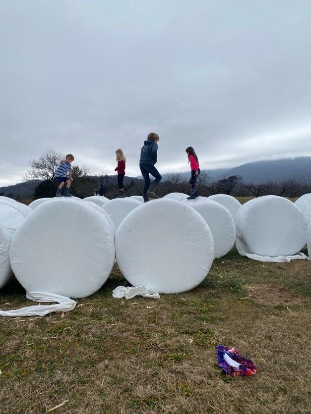 Outdoor Farm School Crozet Charlottesville Waldorf Homeschool
