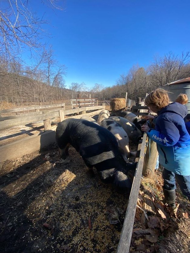 Outdoor Farm School Crozet Charlottesville Waldorf Homeschool