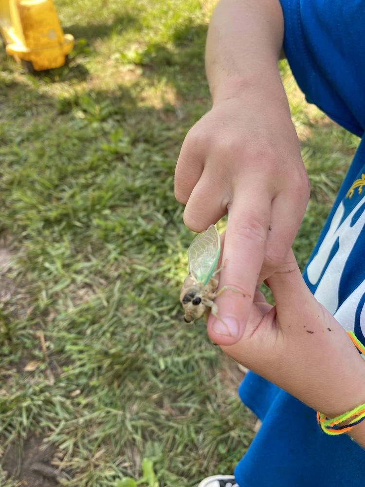 Outdoor Farm School Crozet Charlottesville Waldorf Homeschool