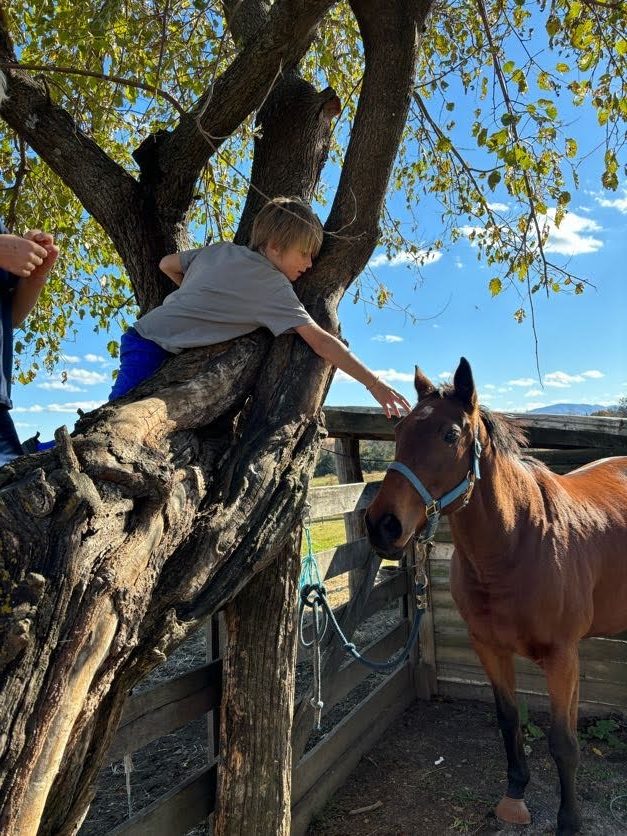 Outdoor Farm School Crozet Charlottesville Waldorf Homeschool